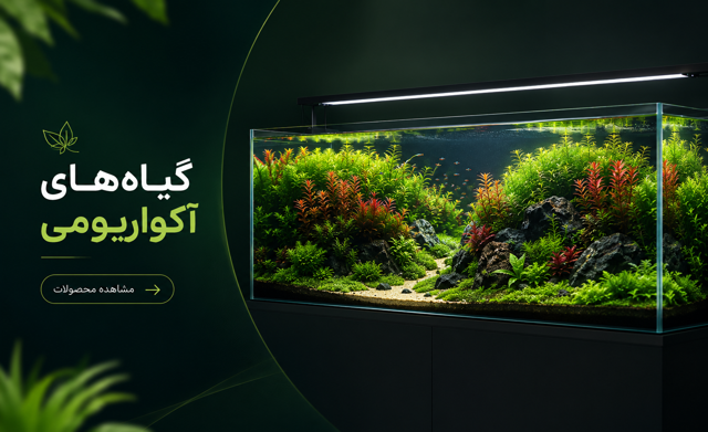گیاهان پرفروش‌ آکواریومی