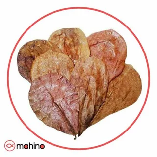 پک برگ کاتاپا بزرگ 5 عددی