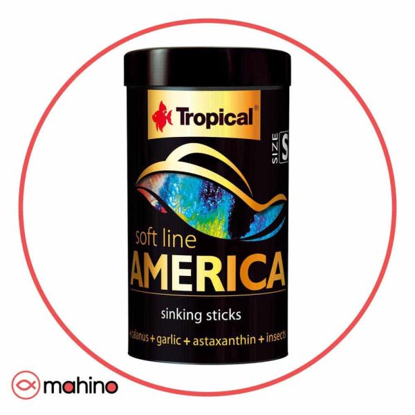 غذا سافت لاین آمریکا تروپیکال Soft Line America Size S Tropical