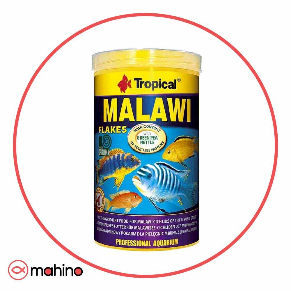 غذا ماهی مالاوی تروپیکال Malawi Flakes Tropical