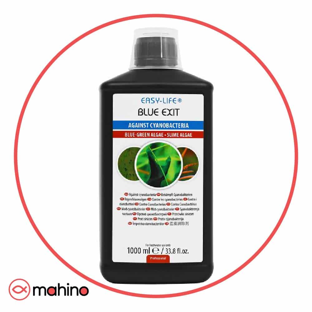 محلول blueexit برای رفع جلبک آبی و سبز آکواریوم