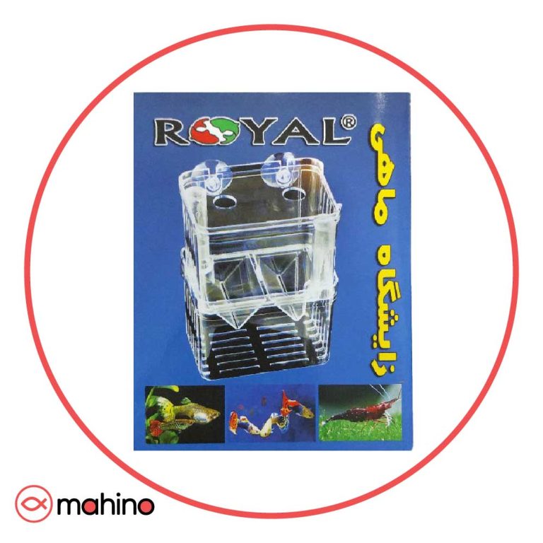 زایشگاه ماهی