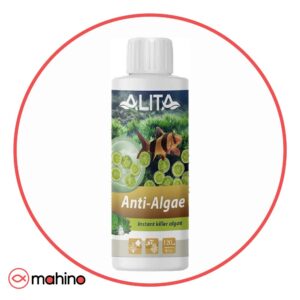 محلول ضد جلبک آنتی آلگی آلیتا