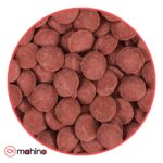 غذای قرصی XXL های پروتئین برای کت فیش تروپیکال