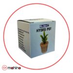 گلدان ریو جوما