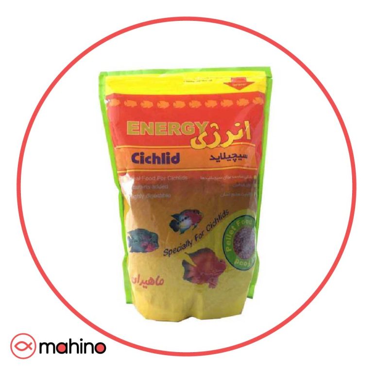 غذای ماهی انرژی سیچلاید ماهیران